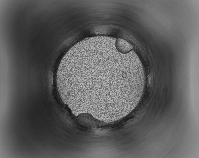 X0000094170733200711161707