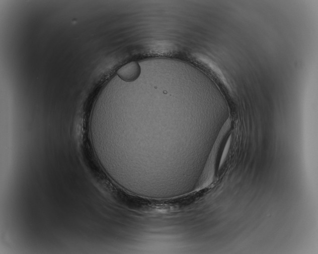 X0000094170736200711161707