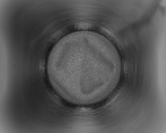 X0000094170737200711161707