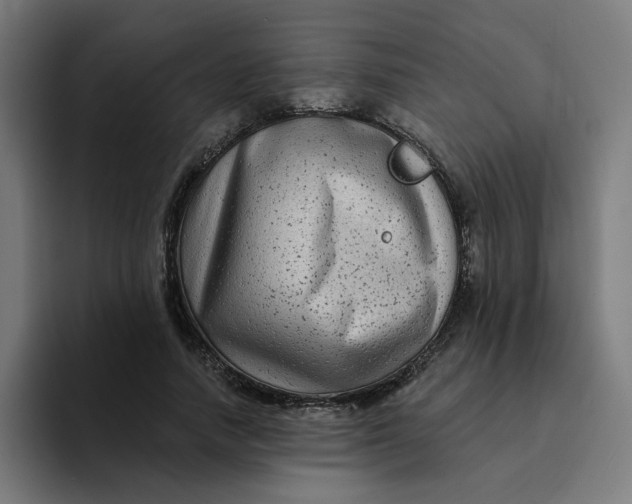 X0000094170738200711161707