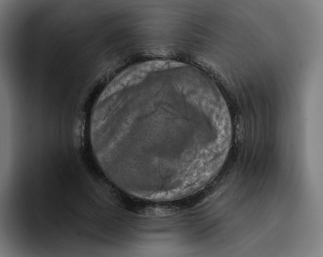 X0000094170739200711161707