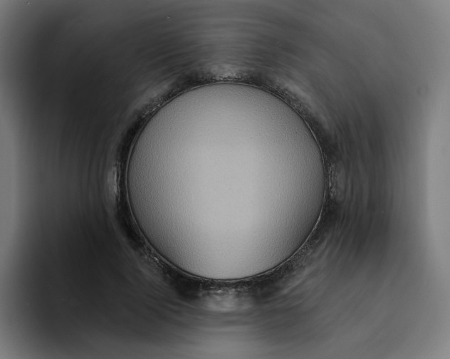 X0000094170740200711161707