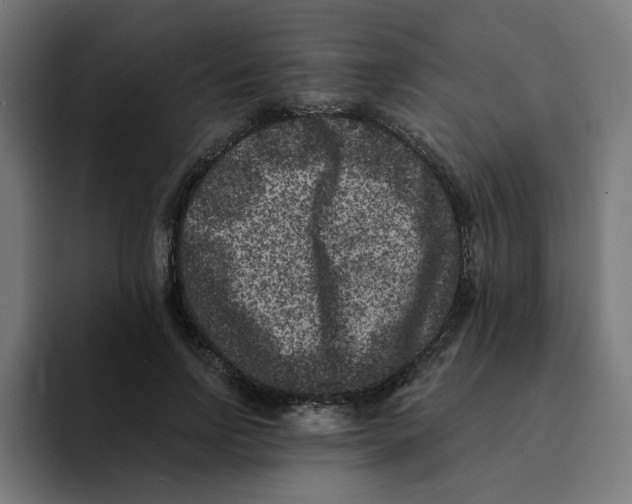 X0000094170742200711161707