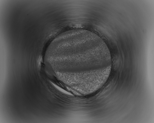 X0000094170747200711161707