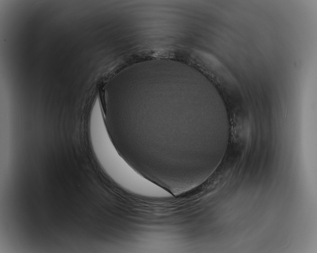 X0000094170748200711161707