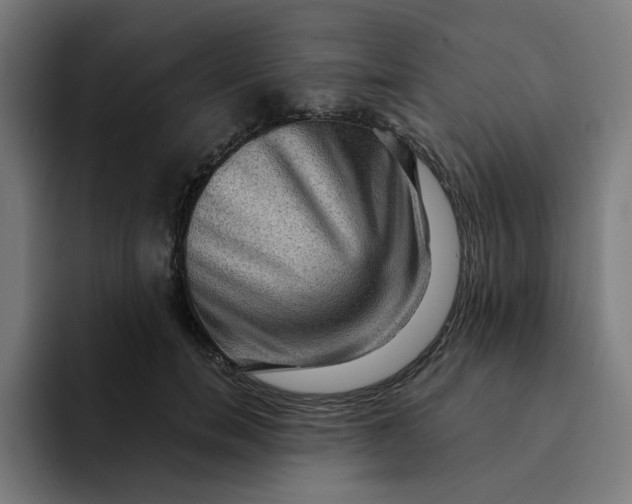 X0000094170750200711161707