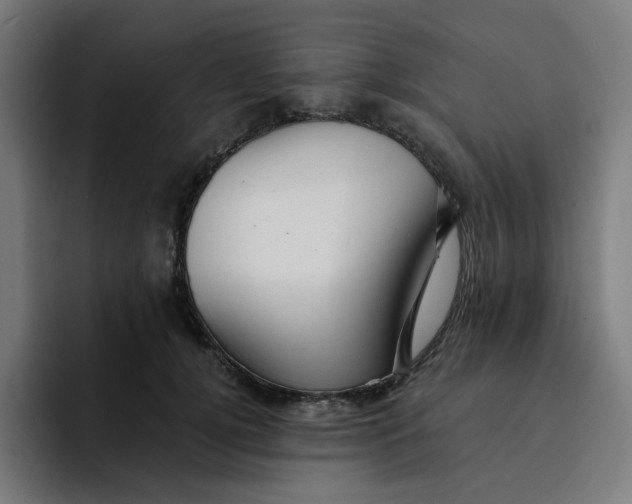 X0000094170752200711161707