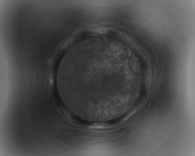 X0000094170758200711161708