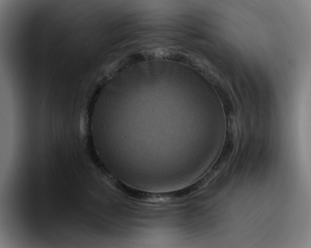 X0000094170760200711161708