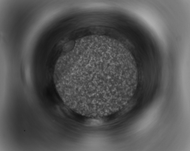 X0000094170765200711161708