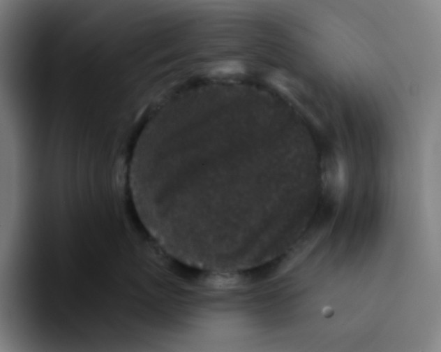 X0000094170767200711161708