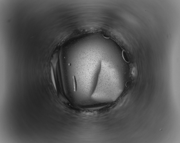 X0000094170771200711161707