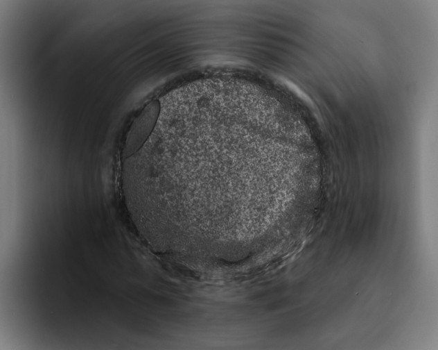 X0000094170775200711161707