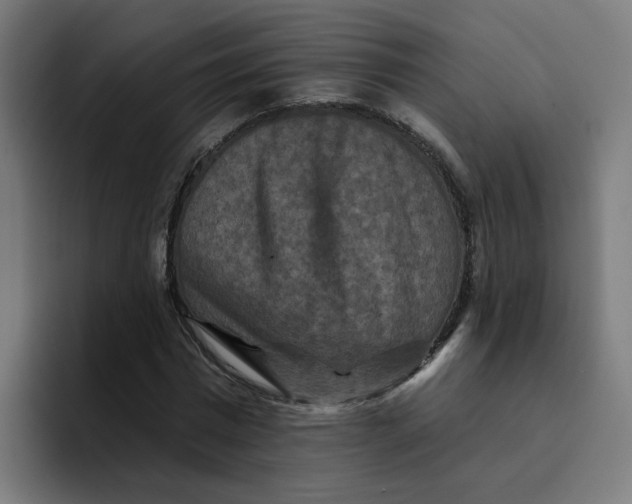 X0000094170777200711161707