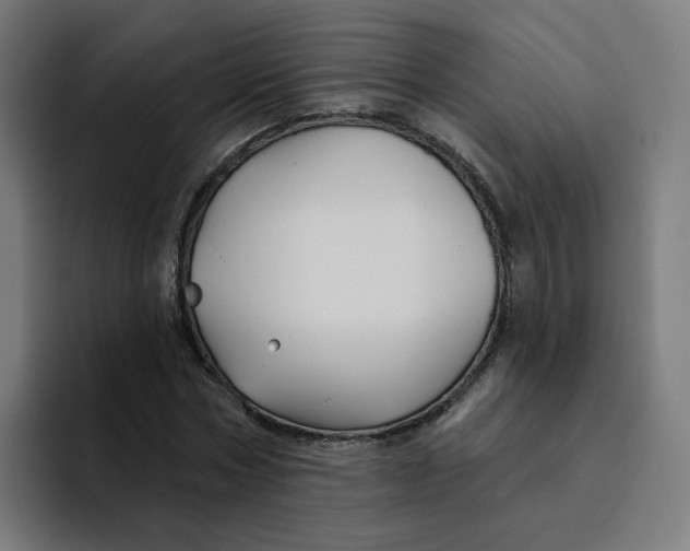 X0000094170778200711161707