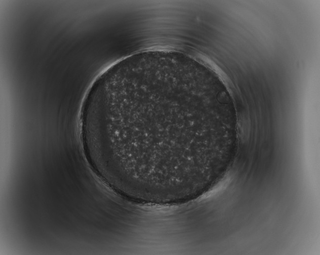 X0000094170779200711161707