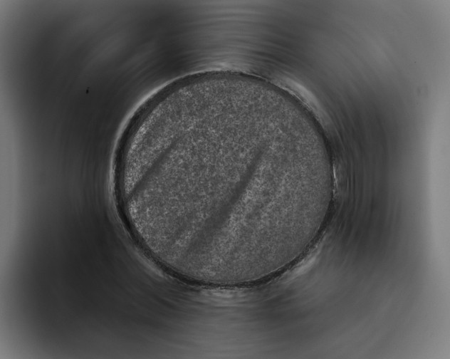 X0000094170780200711161707