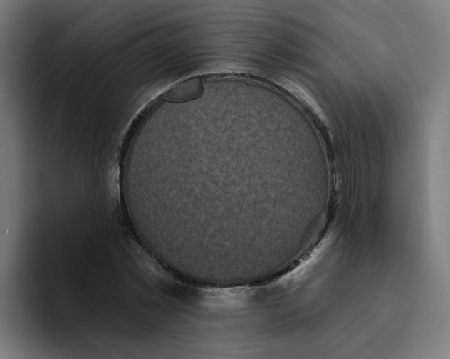 X0000094170781200711161707