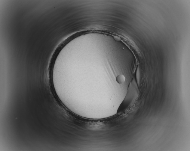 X0000094170784200711161707