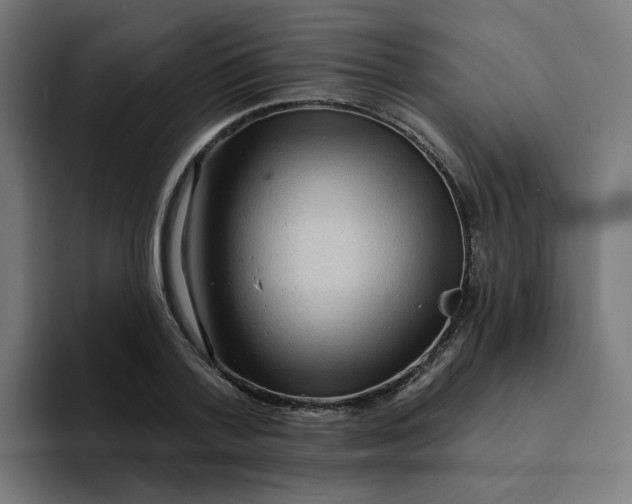 X0000094170788200711161707