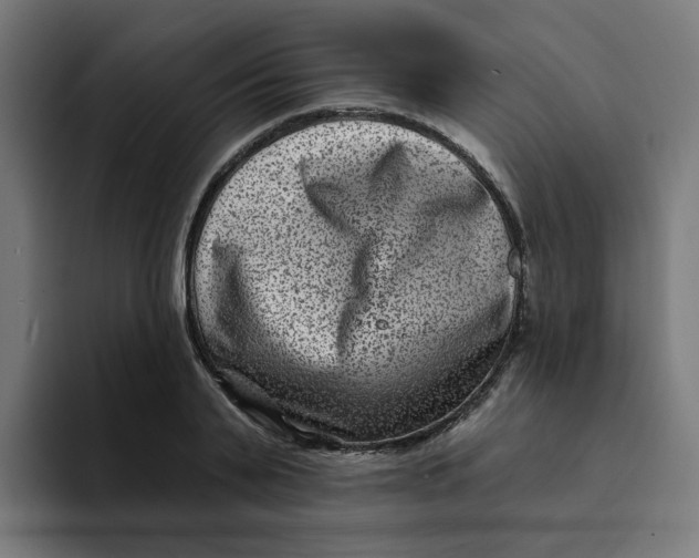 X0000094170791200711161707