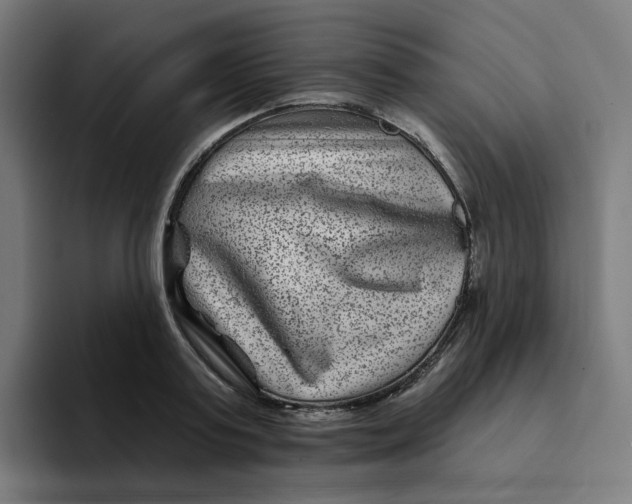 X0000094170795200711161707