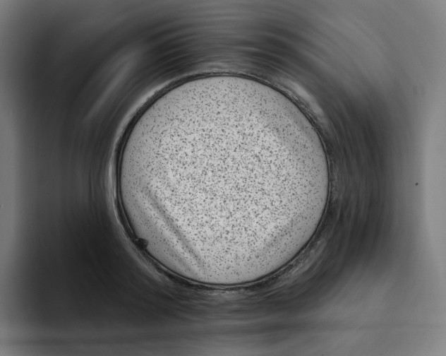 X0000094170796200711161707