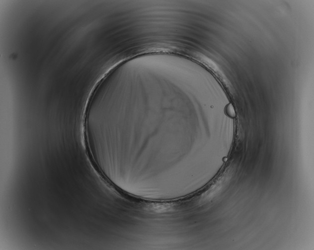 X0000094170802200711161707