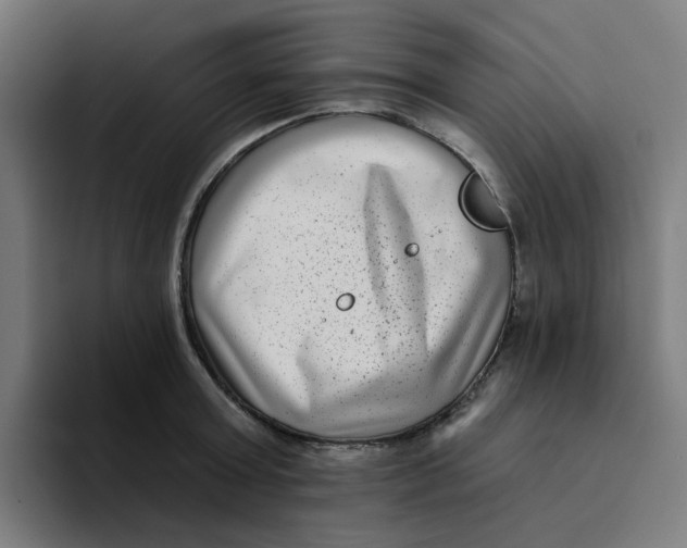 X0000094170803200711161707