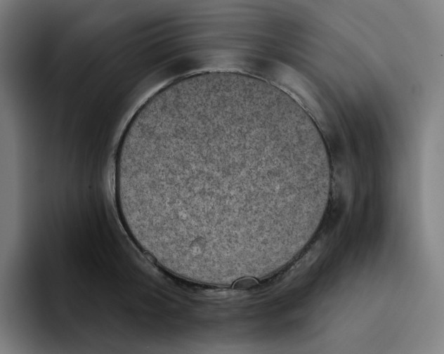 X0000094170804200711161707