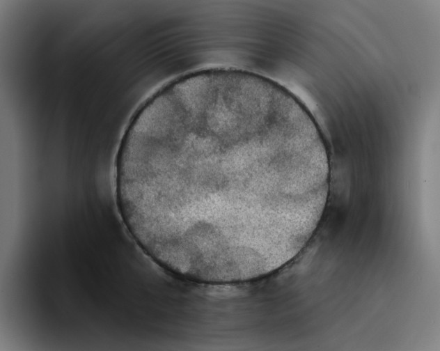 X0000094170807200711161707