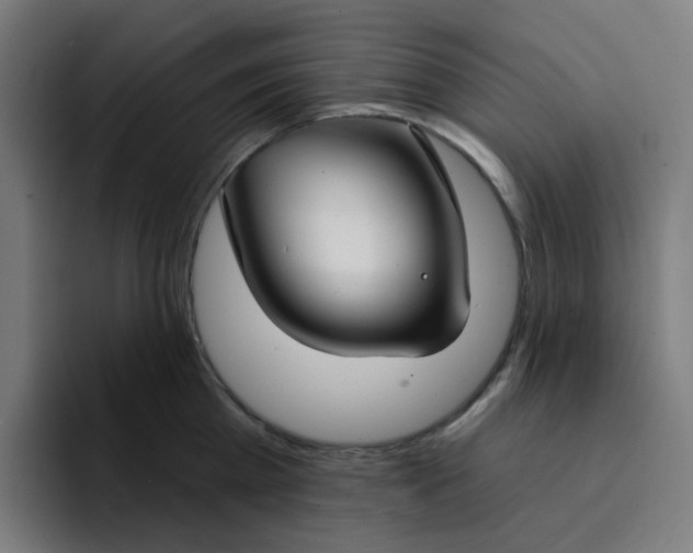 X0000094170809200711161707