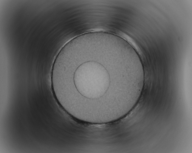 X0000094170810200711161707