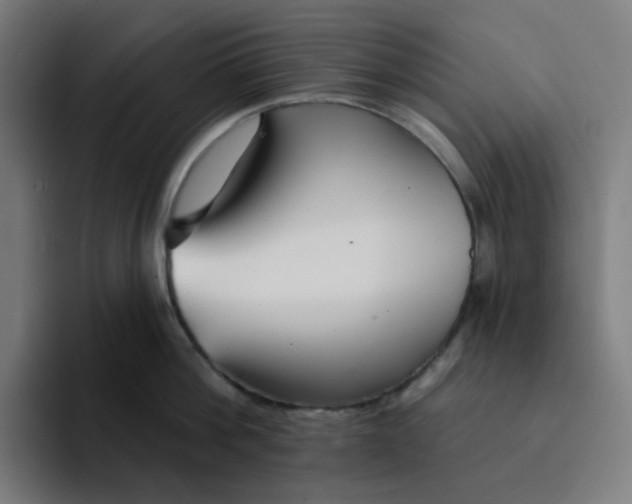 X0000094170812200711161706