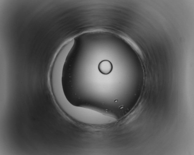 X0000094170813200711161706