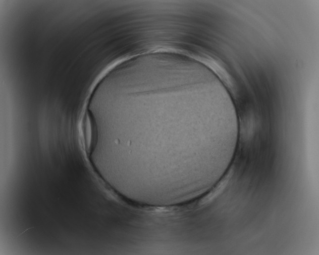 X0000094170814200711161706