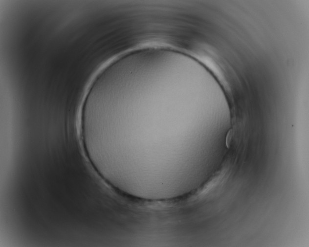 X0000094170815200711161706