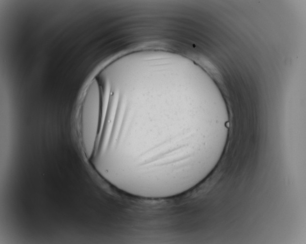 X0000094170816200711161706