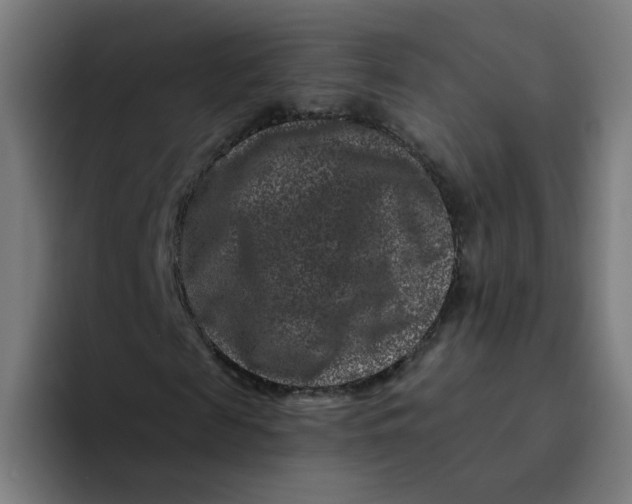 X0000094170817200711161706