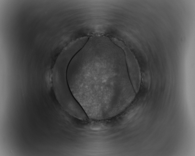 X0000094170818200711161706