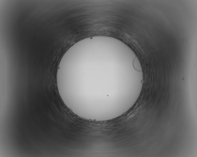 X0000094170820200711161706