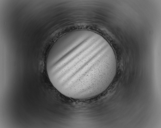 X0000094170821200711161706