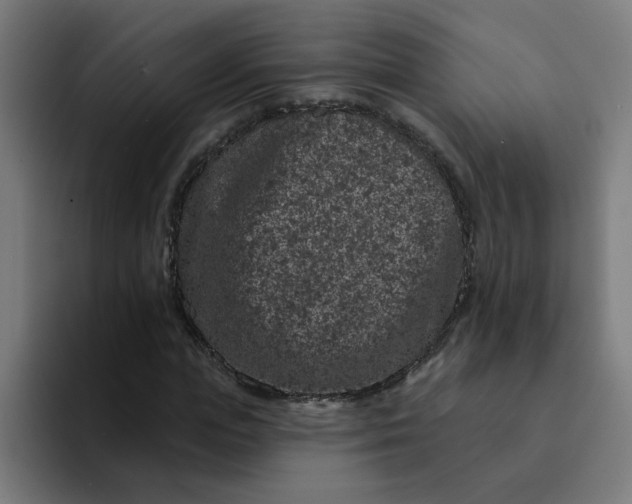 X0000094170823200711161706