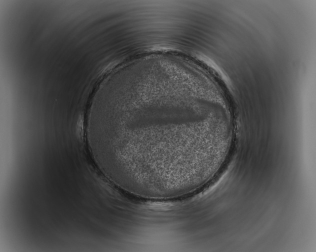 X0000094170825200711161706