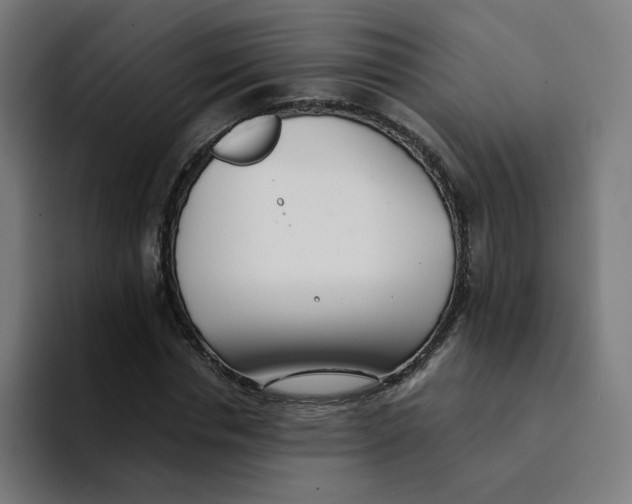 X0000094170826200711161706