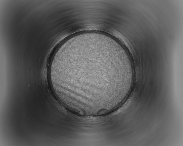 X0000094170827200711161706