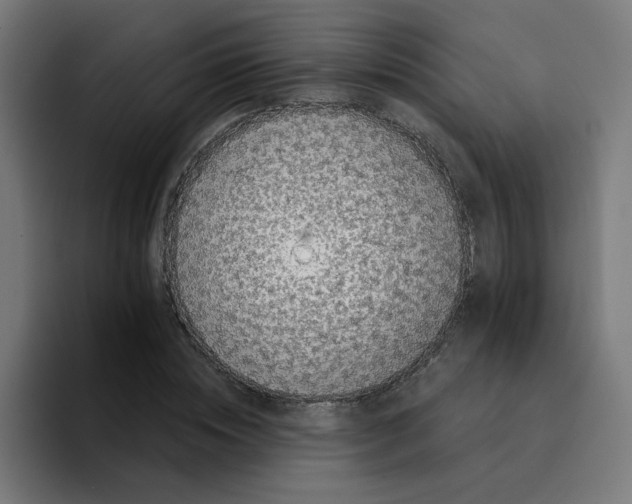 X0000094170828200711161706