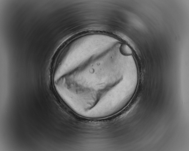 X0000094170829200711161706