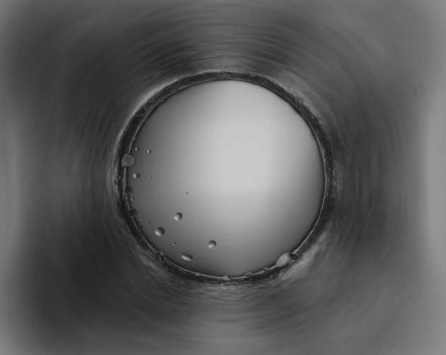 X0000094170830200711161706