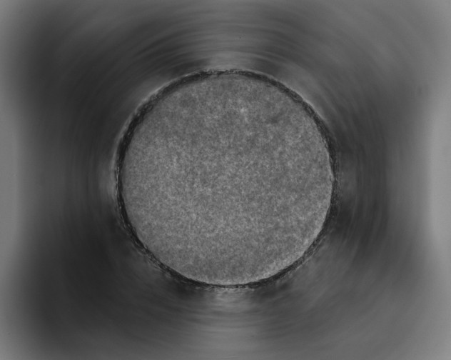 X0000094170832200711161706